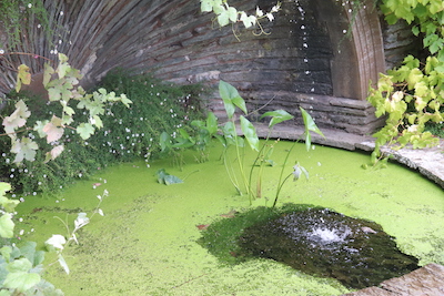 The formal reflecting pool at Hestercombe