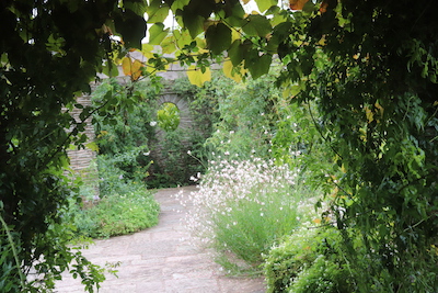 A shaded pergola tunnel at Hestercombe